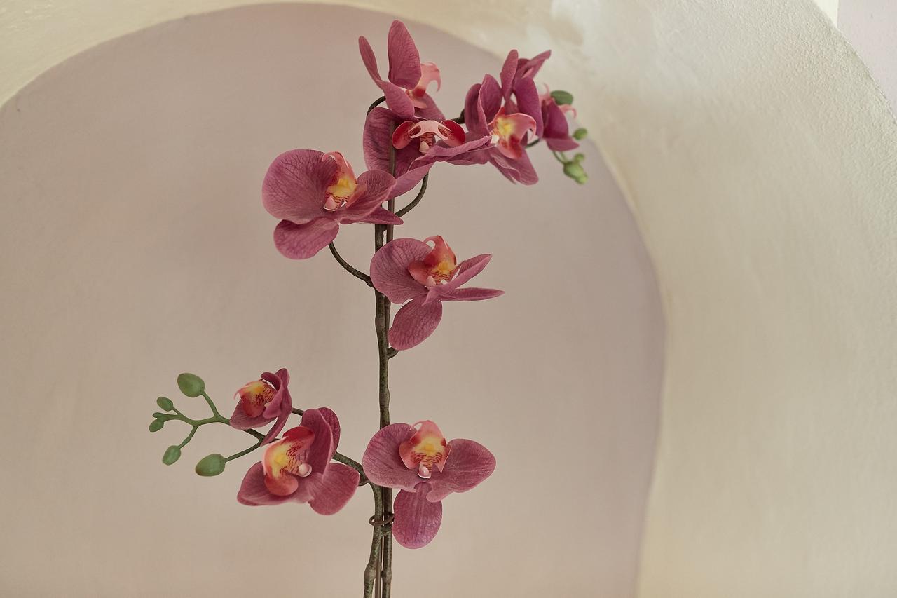 B&B Di Piazza Del Duomo Florence Ngoại thất bức ảnh